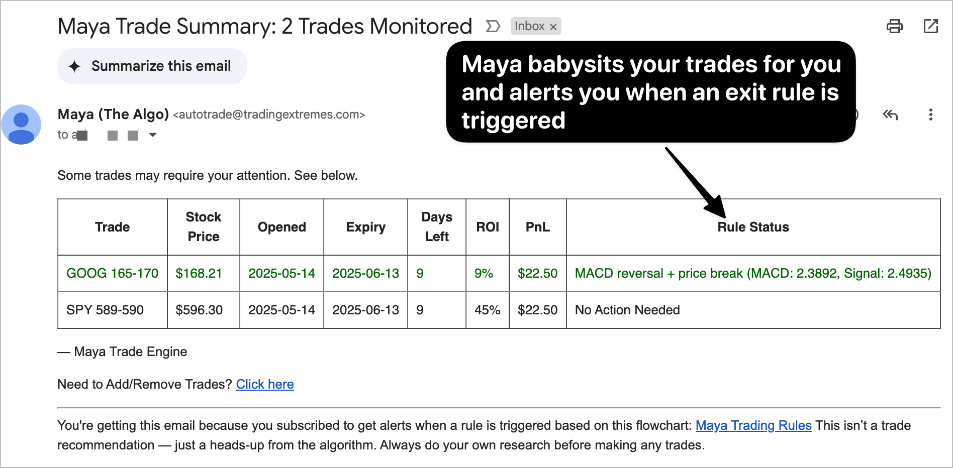 Maya Trading Platform Interface Screenshot 5 - Options Trading Dashboard and Analytics